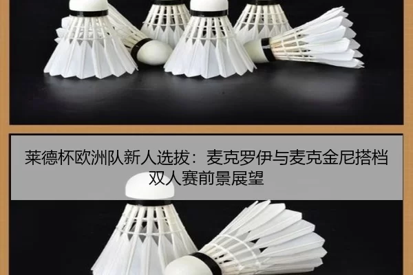 莱德杯欧洲队新人选拔：麦克罗伊与麦克金尼搭档双人赛前景展望